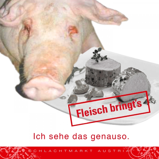 Fleisch birngt's